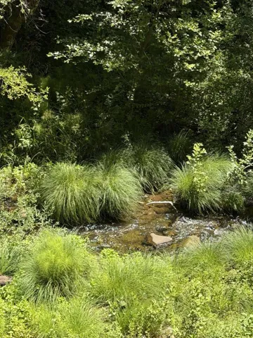 14 Fernwood Drive, Boulder Creek, California 95006