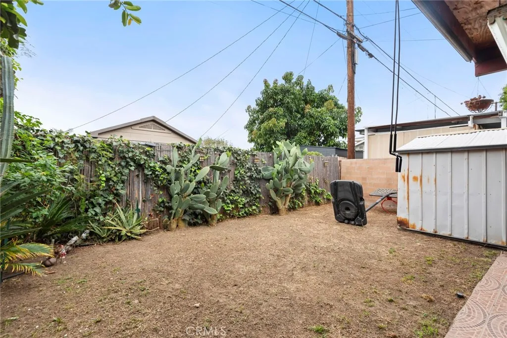 Backyard