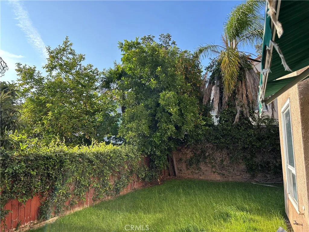 Lots of Privacy in Back Yard