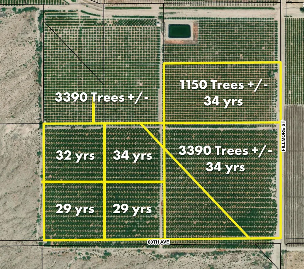 ZI Aerial Planting Map