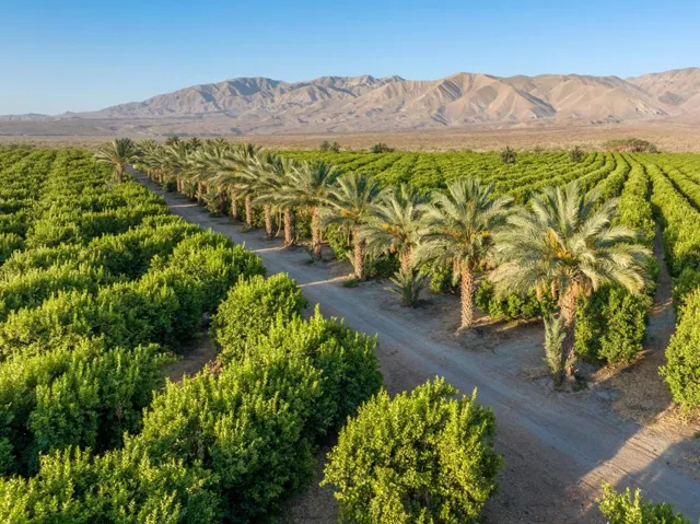 98AC Lemon Ranch - Fillmore Street - Aer