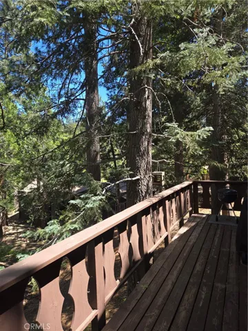 Tree views from deck