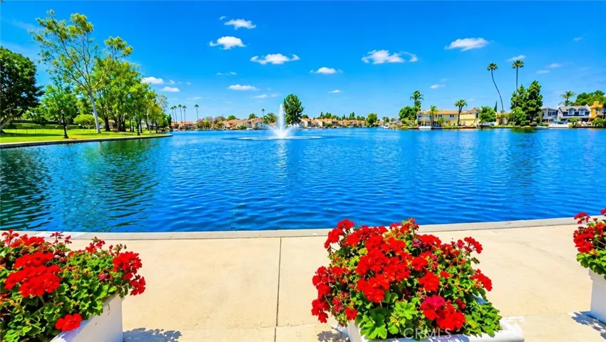 HOA Common Area (Lake)