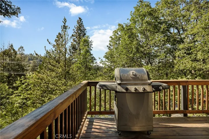 BBQ and views