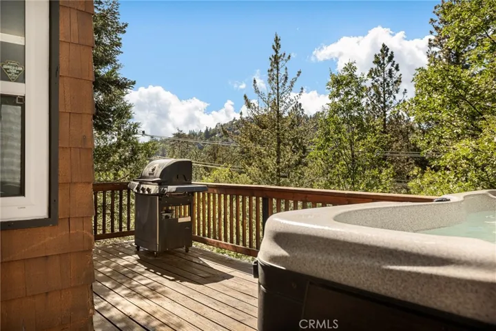 Back deck off living