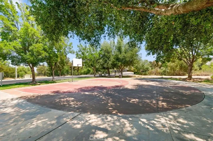 BASKETBALL COURT