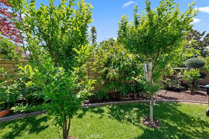 FRUIT TREES