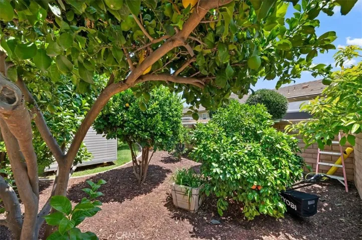 FRUIT TREES