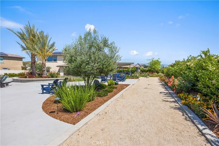 Bocce Ball anyone?