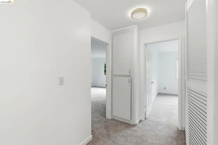 Hallway featuring neutral-toned carpet, built-in cabinetry, and a flush-mount ceiling light