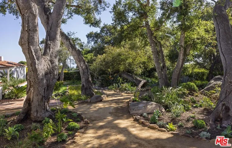 Meandering Pathways