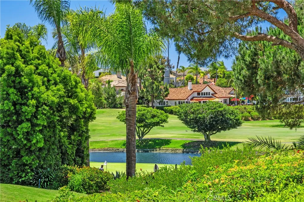 Water feature on the golf course.