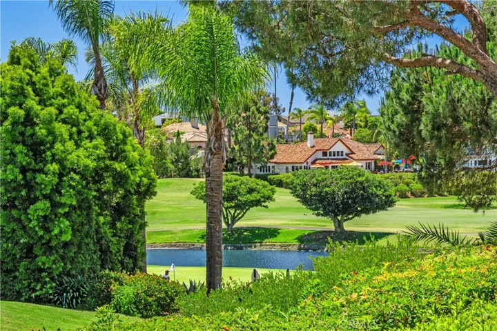 Water feature on the golf course.