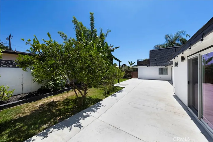 Fruit Trees