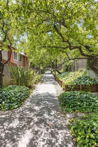 10157 Camberley Lane, Cupertino, California 95014