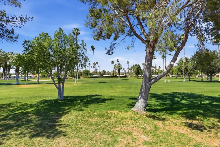 87-Back Property View