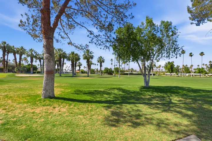 88-Back Property View