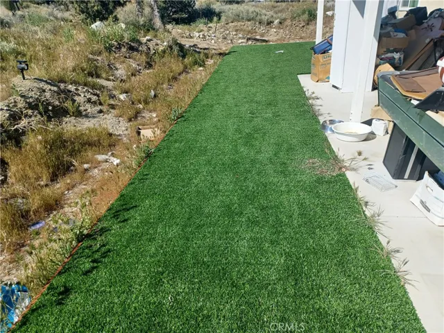 rear yard artifical grass