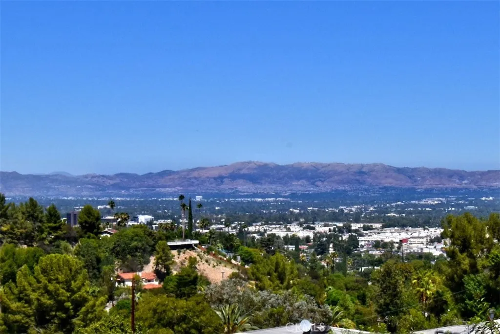 backyard views