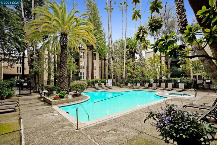 Main Pool