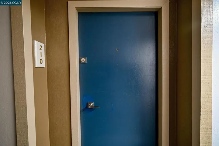 Unit Door