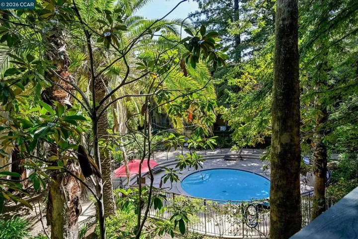 View From Unit