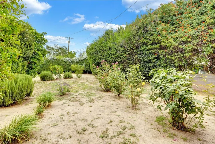 Large Backyard