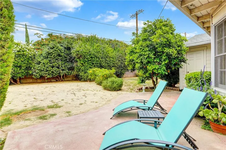 Large Backyard