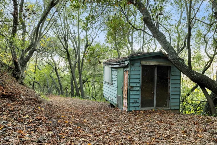 Shed