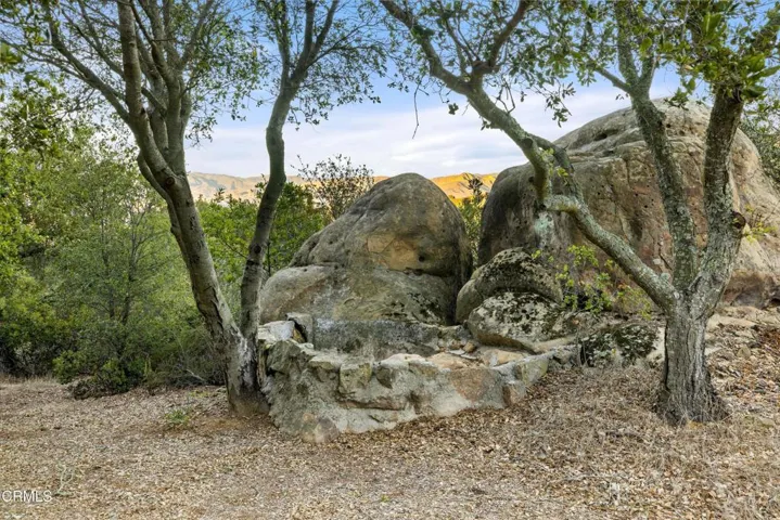 Rock Pool