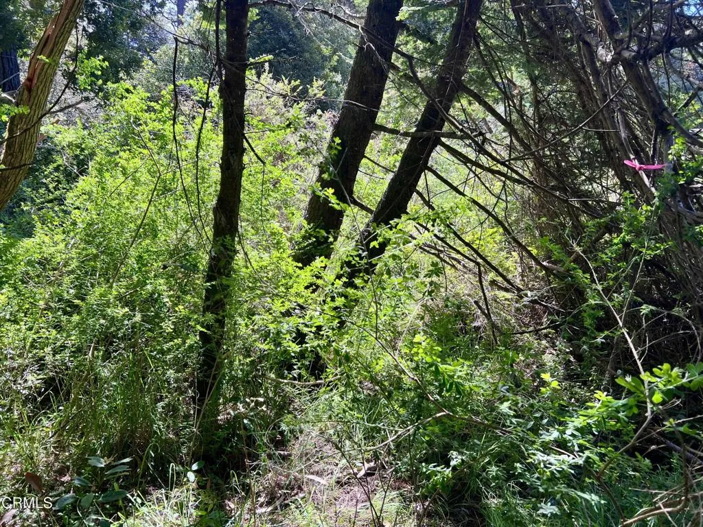 Near SW corner