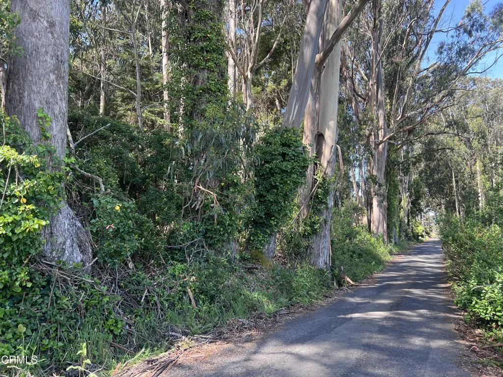 On a quiet lane.