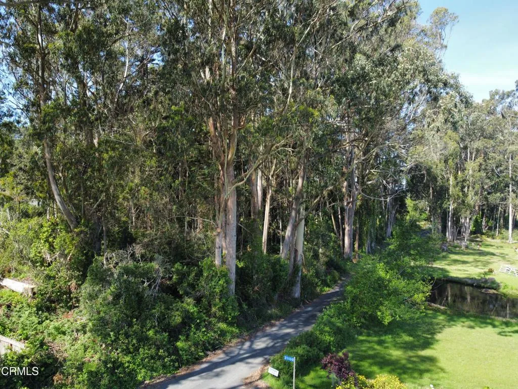 Between Highway One and Ocean Dr.