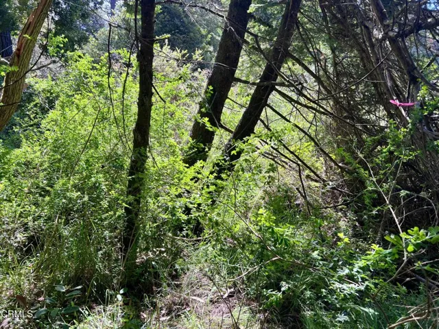 Near SW corner