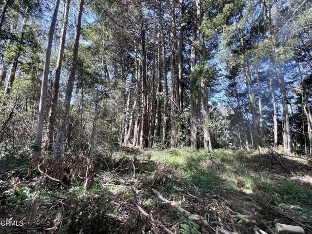 View from the East to the West