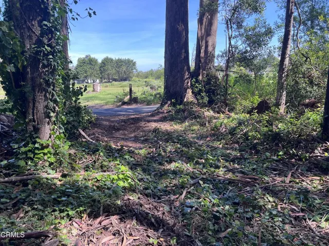 Potential Driveway to Boice Lane