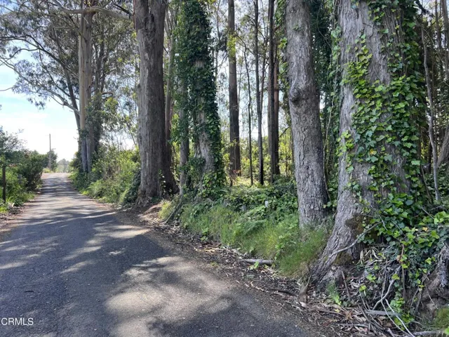 Boice Lane View to Highway One