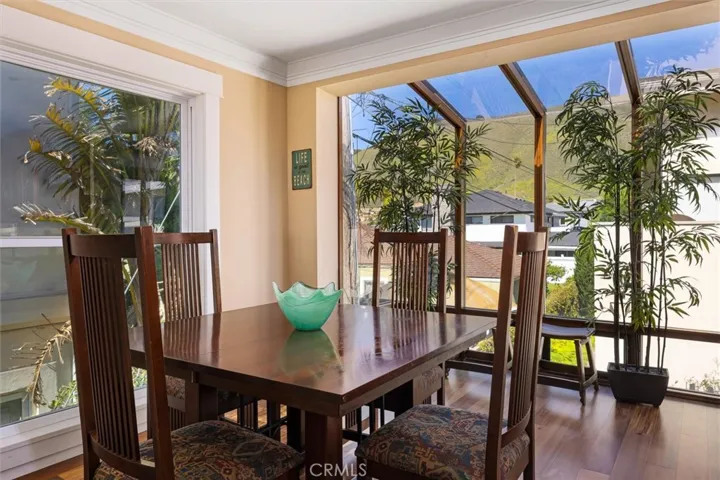 Atrium Windows