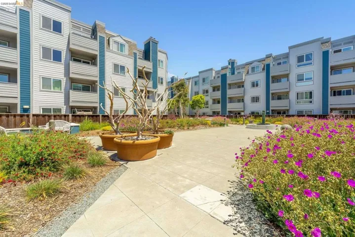 Central courtyard featuring concrete pathways, vibrant flowering ground cover, and large planter pots