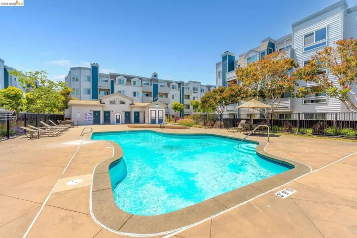 Resort-style pool area featuring a freeform swimming pool with integrated steps, surrounding concrete decking, and a separate pool house with multiple entry doors