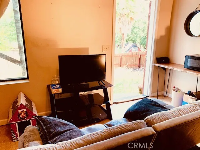 Bonus Garden Level Entry Door