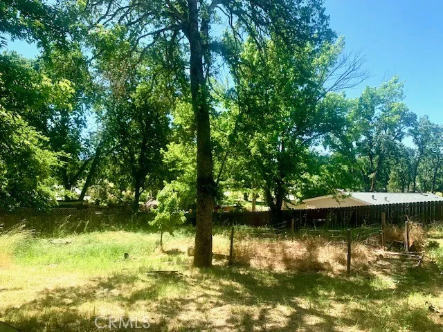 Rear Yard