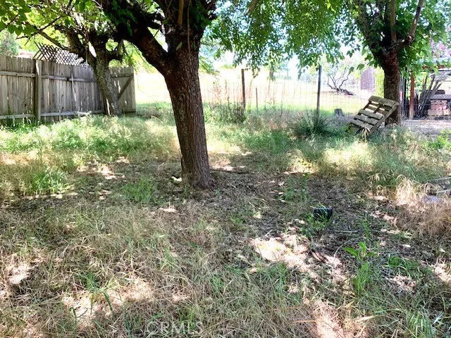 Rear Animal Enclosure