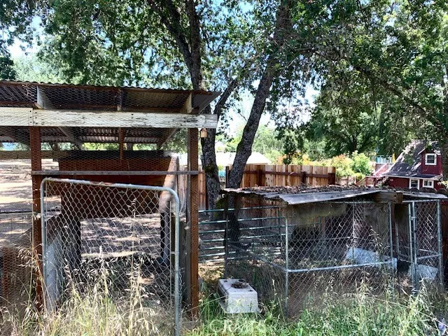 Poultry Roost and Kennel