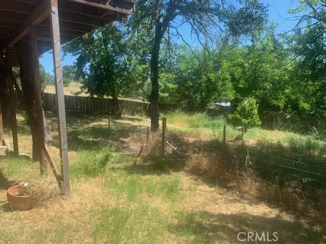 Rear Yard