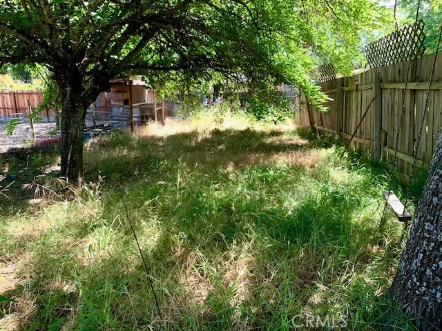 Rear Animal Enclosure