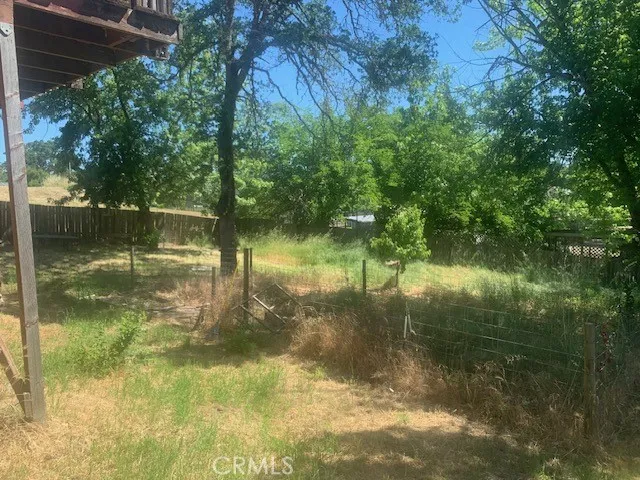 Rear Yard