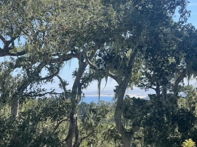 2308 Golden Oaks Lane, Monterey, California 93940