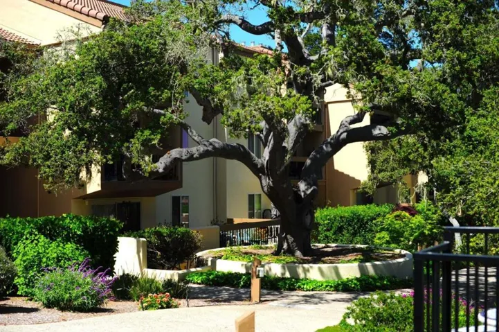 2308 Golden Oaks Lane, Monterey, California 93940