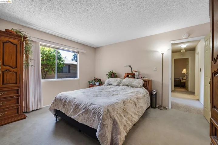 Carpeted room with neutral-toned walls, featuring a large window with white blinds